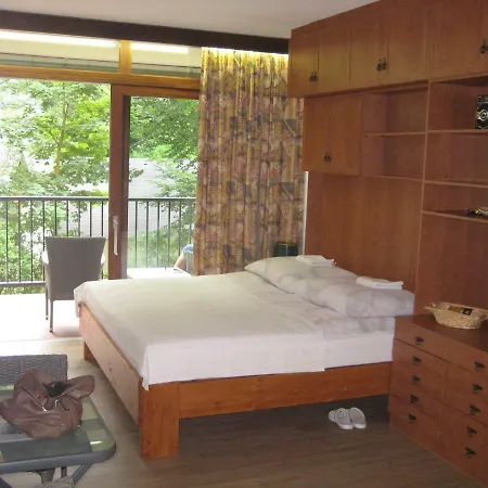 Apartment Kaernten Luise Direkt Am Ossiacher